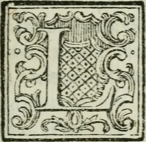 An illustration from Nuova descrizione del Vaticano, o sia, della sacrosanta basilica di S. Pietro, 1762, leaf 14