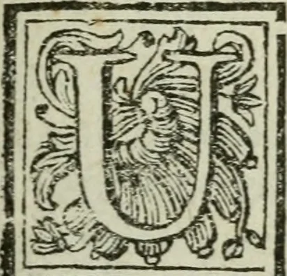 An illustration from Nuova descrizione del Vaticano, o sia, della sacrosanta basilica di S. Pietro, 1762, leaf 52