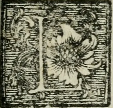An illustration from Nuova descrizione del Vaticano, o sia, della sacrosanta basilica di S. Pietro, 1762, leaf 22