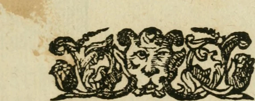 An illustration from Nuova descrizzione dell'antichissima citta' di Cortona : con l'aggiunta di diversi fatti antichi, ed altri particolari della medesima, 1700, leaf 6