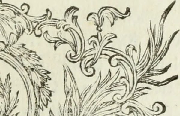 An illustration from Nuova raccolta d'autori, che trattano del moto dell'acque, 1766, leaf 388