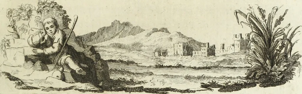 An illustration from Nuova raccolta d'autori, che trattano del moto dell'acque, 1766, leaf 40
