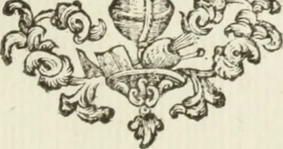 An illustration from Nuova raccolta d'autori, che trattano del moto dell'acque, 1766, leaf 446