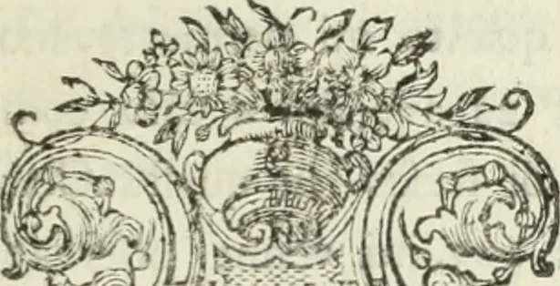 An illustration from Nuova raccolta d'autori, che trattano del moto dell'acque, 1766, leaf 472