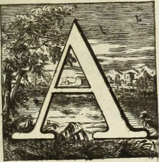 An illustration from Nuova raccolta d'autori, che trattano del moto dell'acque, 1766, leaf 8