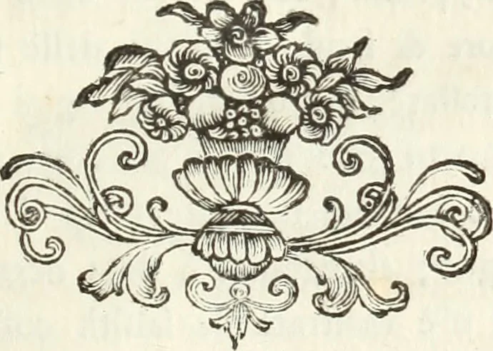 An illustration from Nuova raccolta d'autori, che trattano del moto dell'acque, 1766, leaf 508