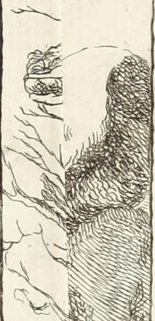 An illustration from Nuova raccolta d'autori, che trattano del moto dell'acque, 1766, leaf 586