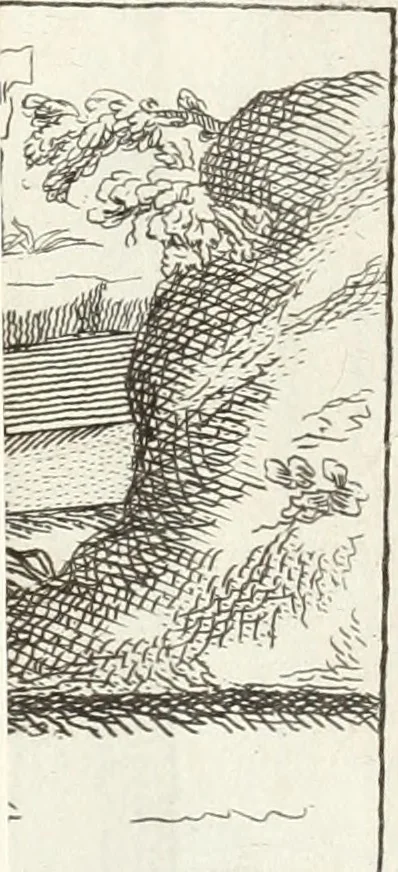 An illustration from Nuova raccolta d'autori, che trattano del moto dell'acque, 1766, leaf 596