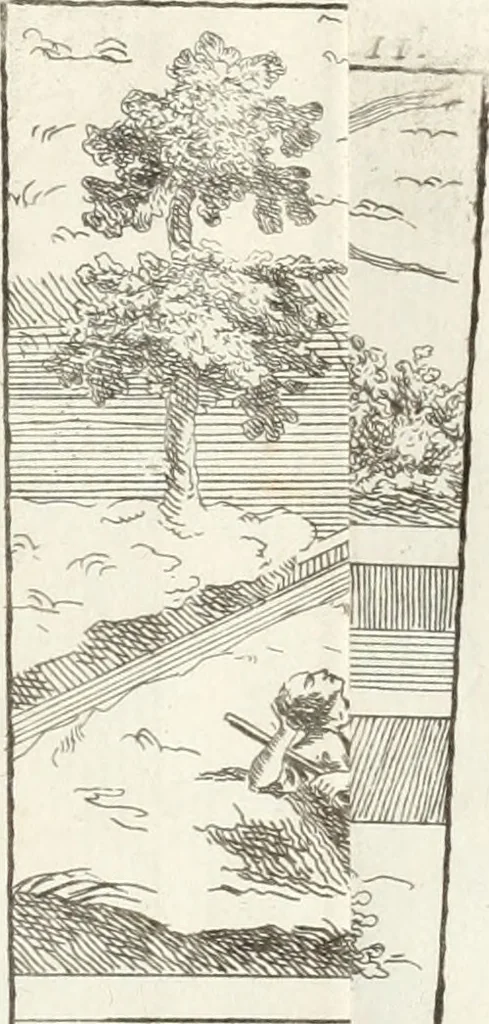 An illustration from Nuova raccolta d'autori, che trattano del moto dell'acque, 1766, leaf 600