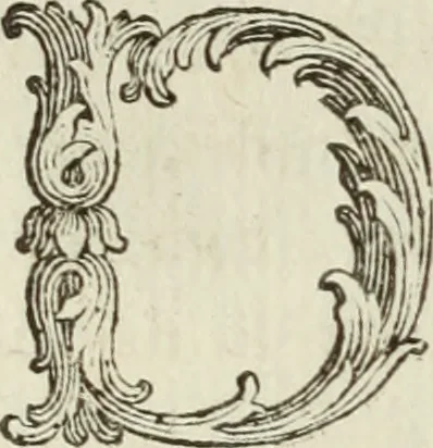 An illustration from Nuova raccolta d'autori, che trattano del moto dell'acque, 1766, leaf 259