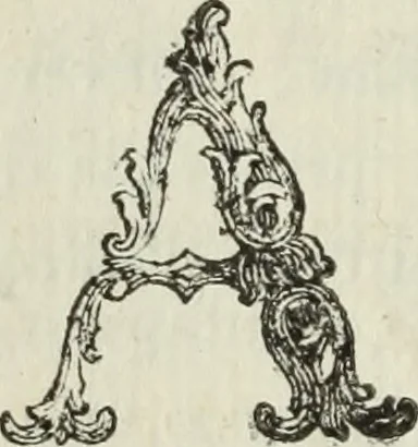 An illustration from Nuova raccolta d'autori, che trattano del moto dell'acque, 1766, leaf 301