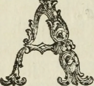 An illustration from Nuova raccolta d'autori, che trattano del moto dell'acque, 1766, leaf 417