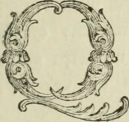 An illustration from Nuova raccolta d'autori, che trattano del moto dell'acque, 1766, leaf 532