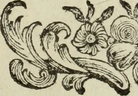 An illustration from Nuova raccolta d'autori, che trattano del moto dell'acque, 1766, leaf 260