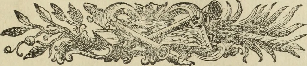 An illustration from Nuova raccolta d'autori, che trattano del moto dell'acque, 1766, leaf 304