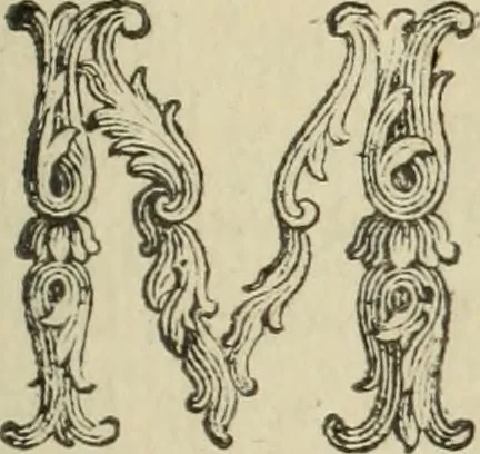 An illustration from Nuova raccolta d'autori, che trattano del moto dell'acque, 1766, leaf 304