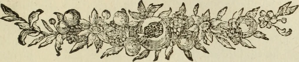 An illustration from Nuova raccolta d'autori, che trattano del moto dell'acque, 1766, leaf 342