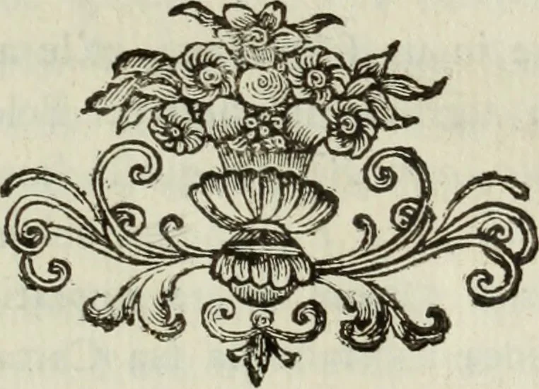 An illustration from Nuova raccolta d'autori, che trattano del moto dell'acque, 1766, leaf 410