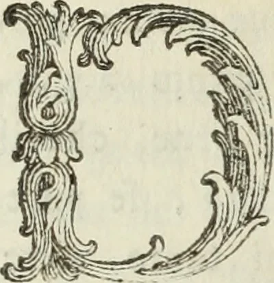 An illustration from Nuova raccolta d'autori, che trattano del moto dell'acque, 1766, leaf 411
