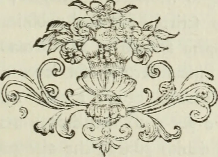 An illustration from Nuova raccolta d'autori, che trattano del moto dell'acque, 1766, leaf 86