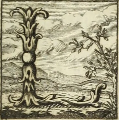 An illustration from Nuova raccolta d'autori, che trattano del moto dell'acque, 1766, leaf 12