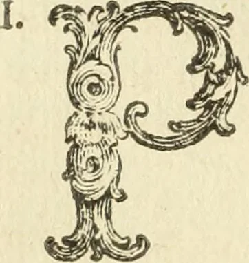 An illustration from Nuova raccolta d'autori, che trattano del moto dell'acque, 1766, leaf 51