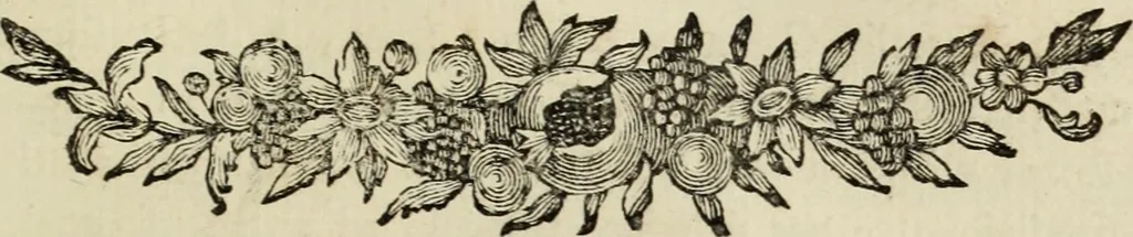 An illustration from Nuova raccolta d'autori, che trattano del moto dell'acque, 1766, leaf 146