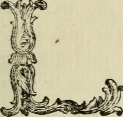 An illustration from Nuova raccolta d'autori, che trattano del moto dell'acque, 1766, leaf 146