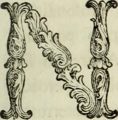 An illustration from Nuova raccolta d'autori, che trattano del moto dell'acque, 1766, leaf 218