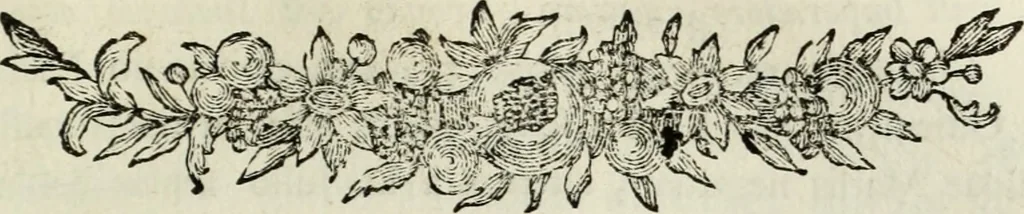 An illustration from Nuova raccolta d'autori, che trattano del moto dell'acque, 1766, leaf 266