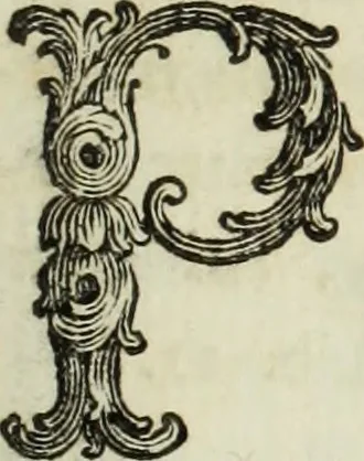 An illustration from Nuova raccolta d'autori, che trattano del moto dell'acque, 1766, leaf 274