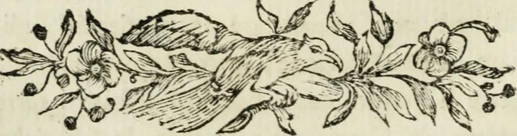 An illustration from Nuova raccolta d'autori, che trattano del moto dell'acque, 1766, leaf 329