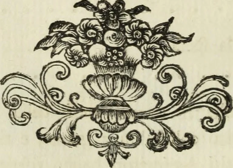 An illustration from Nuova raccolta d'autori, che trattano del moto dell'acque, 1766, leaf 331