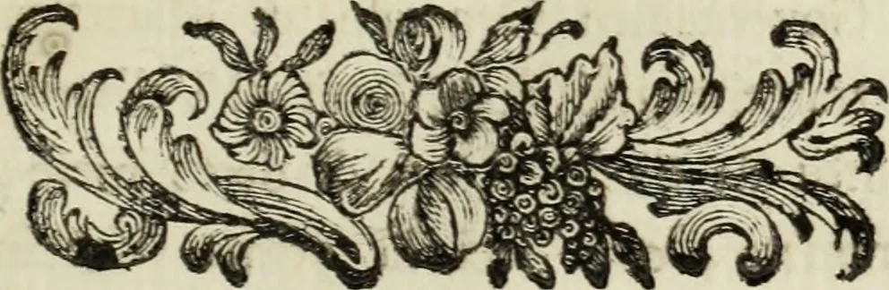 An illustration from Nuova raccolta d'autori, che trattano del moto dell'acque, 1766, leaf 336