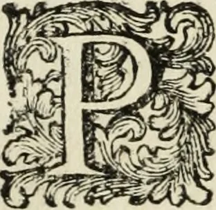 An illustration from Nuova raccolta d'autori, che trattano del moto dell'acque, 1766, leaf 337