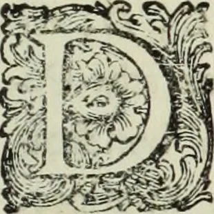 An illustration from Nuova raccolta d'autori, che trattano del moto dell'acque, 1766, leaf 356