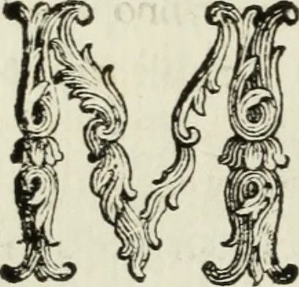 An illustration from Nuova raccolta d'autori, che trattano del moto dell'acque, 1766, leaf 383