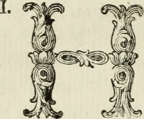 An illustration from Nuova raccolta d'autori, che trattano del moto dell'acque, 1766, leaf 405