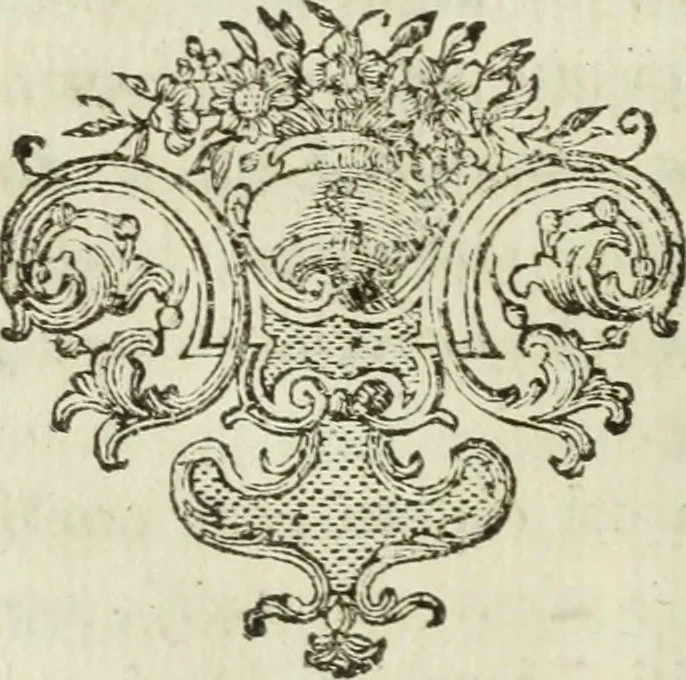 An illustration from Nuova raccolta d'autori, che trattano del moto dell'acque, 1766, leaf 81