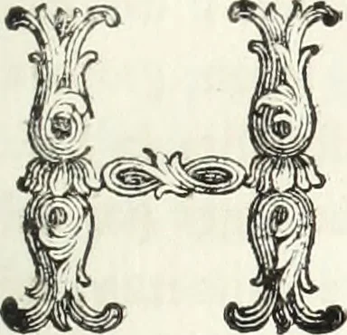 An illustration from Nuova raccolta d'autori, che trattano del moto dell'acque, 1766, leaf 138