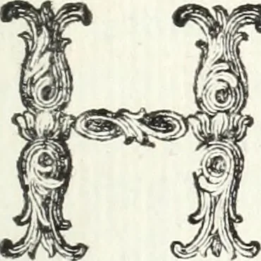 An illustration from Nuova raccolta d'autori, che trattano del moto dell'acque, 1766, leaf 216