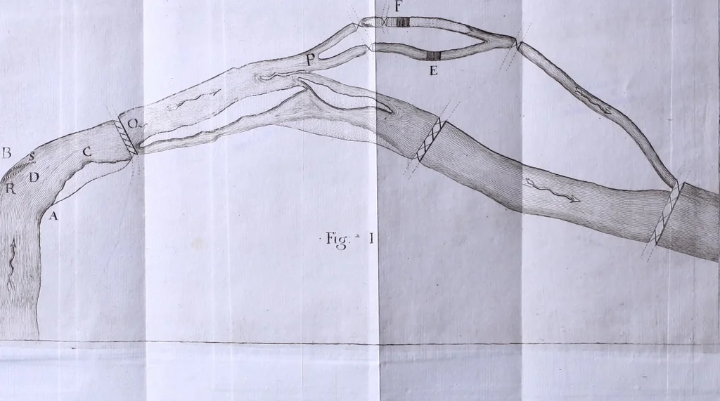 An illustration from Nuova raccolta d'autori, che trattano del moto dell'acque, 1766, leaf 467