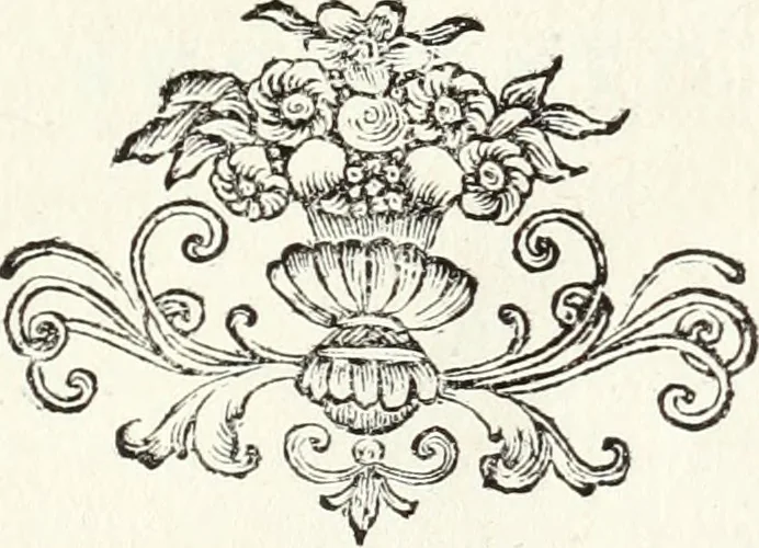 An illustration from Nuova raccolta d'autori, che trattano del moto dell'acque, 1766, leaf 58