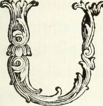 An illustration from Nuova raccolta d'autori, che trattano del moto dell'acque, 1766, leaf 62