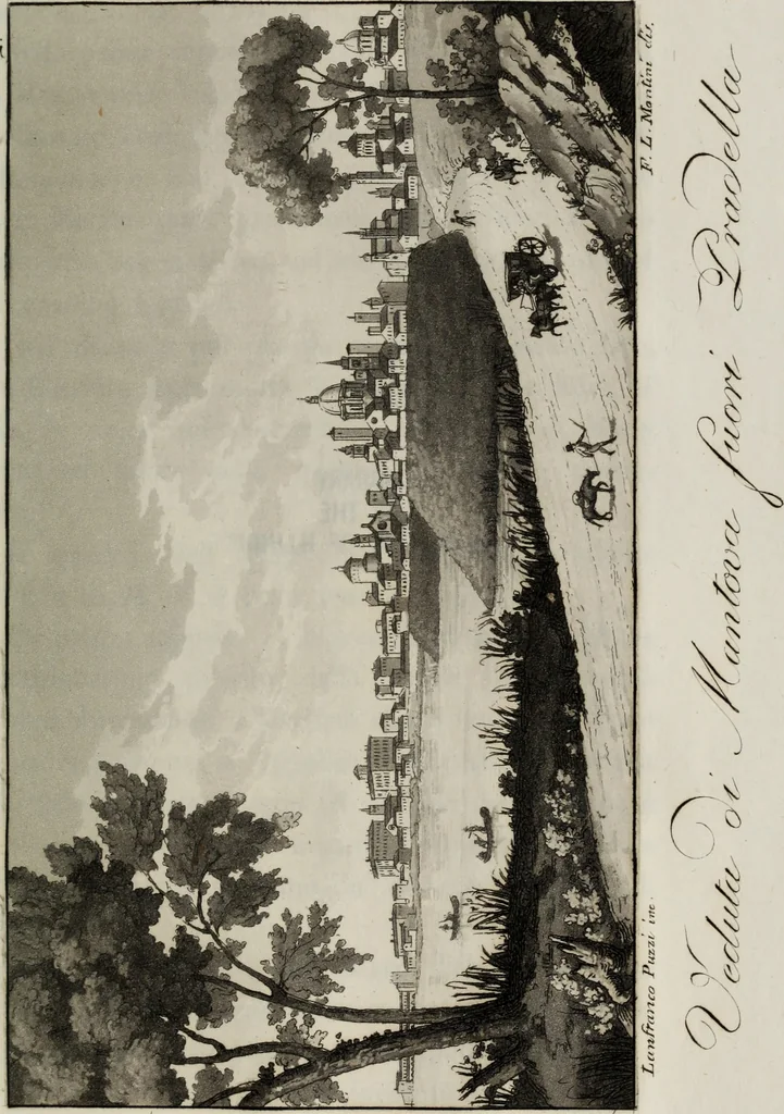 An illustration from Nuovo prospetto di Mantova : arricchita delle principali vedute e della pianta di detta città .., 1834, leaf 204