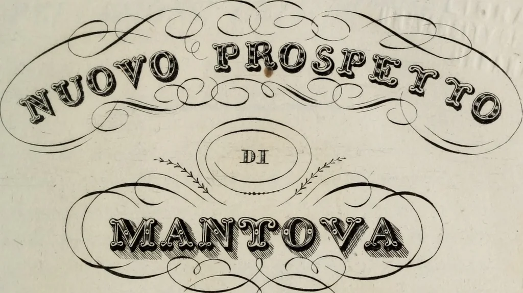 An illustration from Nuovo prospetto di Mantova : arricchita delle principali vedute e della pianta di detta città .., 1834, leaf 8