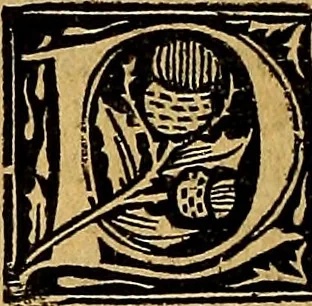 An illustration from Nusq[uam] antea impressum Collectorium totius fere medicine Bertrucij Bononiensis : in quo infrascripta continentur. Primo de regimine sanitatis. Secundo de egritudinibus particularibus que sunt a capite usq[ue] ad pedes. Tertio de egritudinibus universalibus hoc est de febribus. Quarto de crisi et de diebus creticis. Quinto de venenis. Sexto de decoratione, 1509, leaf 135