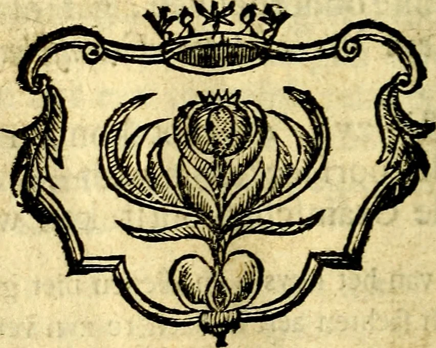 An illustration from Nuttelyck huys-boeck ... Benevens alle de overgebleven gedichten ... de lof-en rouw-gedichten en graft-schriften, 1769, leaf 109