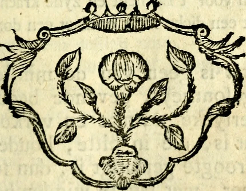 An illustration from Nuttelyck huys-boeck ... Benevens alle de overgebleven gedichten ... de lof-en rouw-gedichten en graft-schriften, 1769, leaf 114