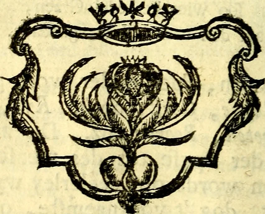 An illustration from Nuttelyck huys-boeck ... Benevens alle de overgebleven gedichten ... de lof-en rouw-gedichten en graft-schriften, 1769, leaf 135